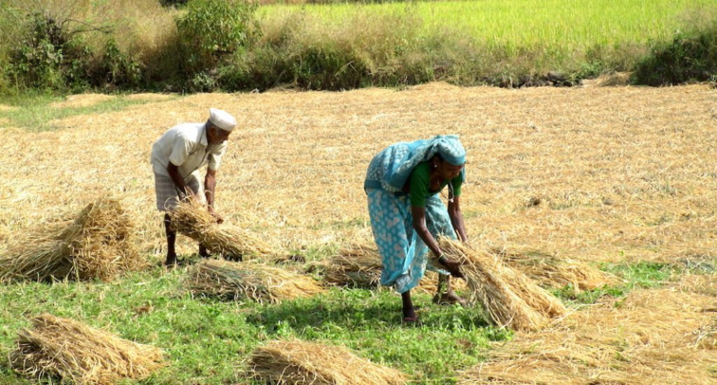 Faulty farm ponds pockmark tribal villages in Palghar