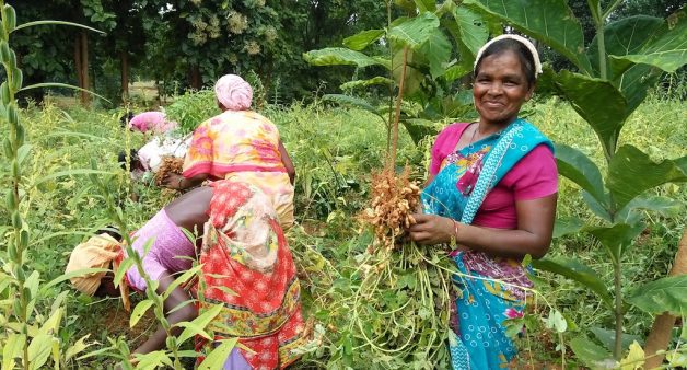 Tribal women of Sundargarh make organic farming a life-changing ...