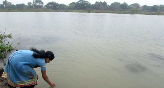 The pond water is made safe for consumption through pond sand filtration units. (Photo by Rakhi Ghosh)