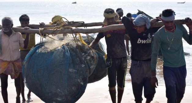 Enterprising Odisha women take to selling fish to improve lives