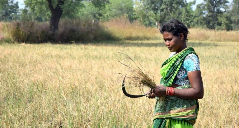 Women farmers suffer due to unequal land rights