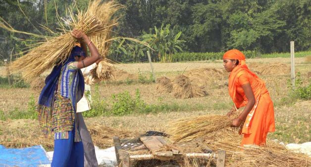 Lack Of Basic Amenities Adversely Affect Tribal Women S Health Village Square