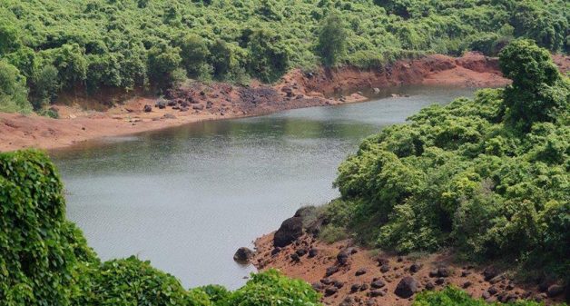 Community efforts save Goan heritage lake