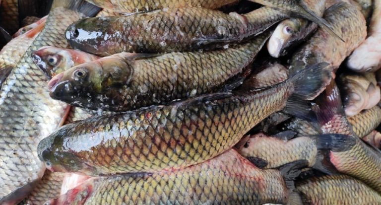 The 'faere' tale of Kashmir’s smoked fish dish