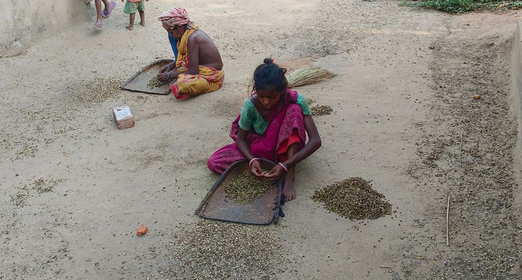 Bengal's Sabar Tribe Struggles For Survival